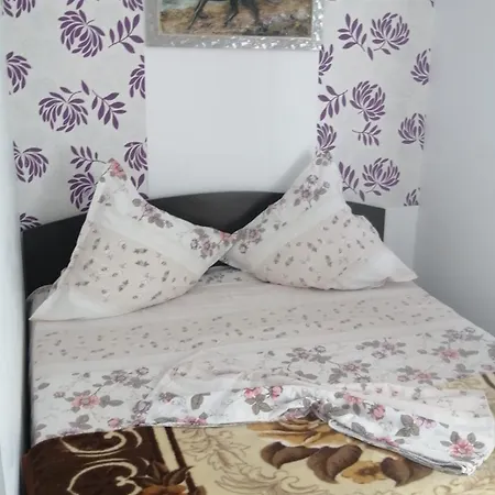 Guest house Vila Farah 2
